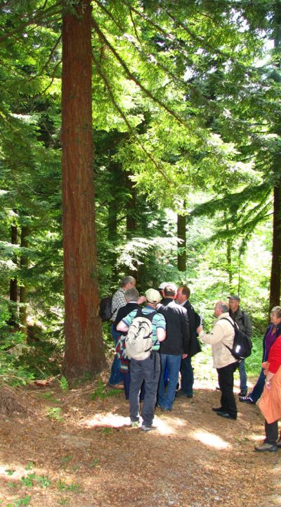 Waldexkursion auf dem Jungferngut Garbeck
