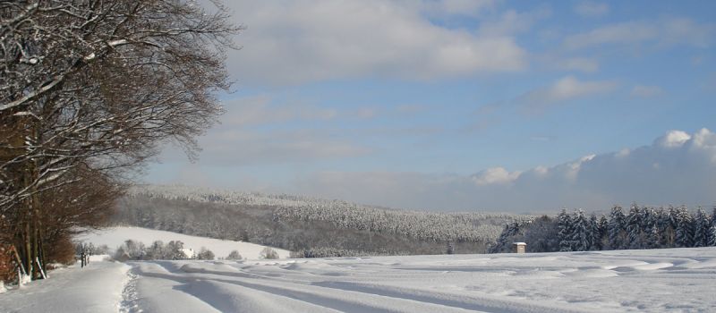 winteraufnahme-2.jpg