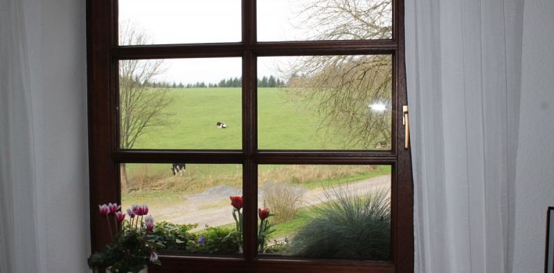 Ausblick Wohnung Wiesenblick