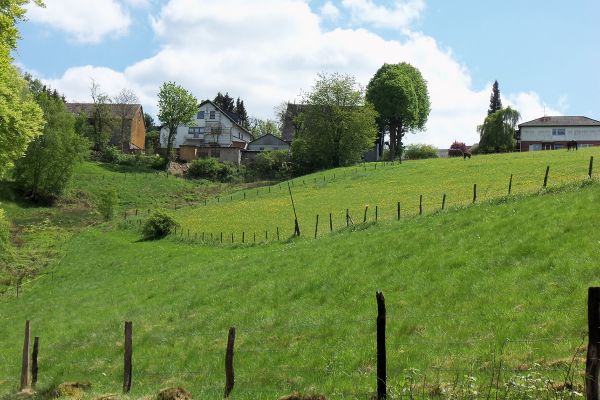 Blick zum Hof hinauf