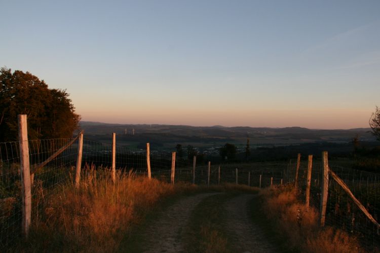 Abendstimmung über "Kyrill-Flächen"