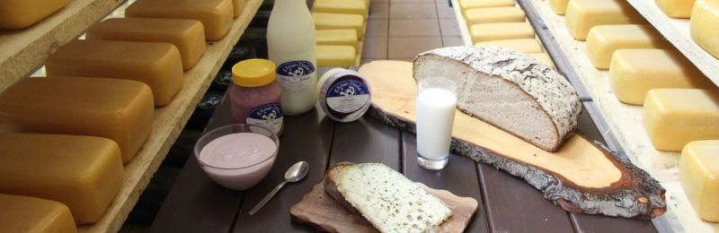Käsekeller in der Käse-Deele-Rafflenbeul