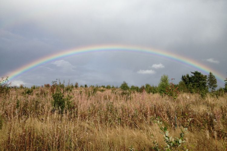 Regenbogen am Gremberg
