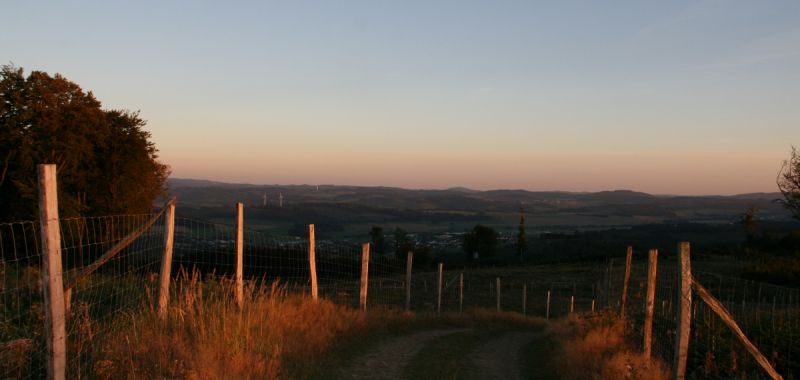 Abendstimmung über "Kyrill-Flächen"