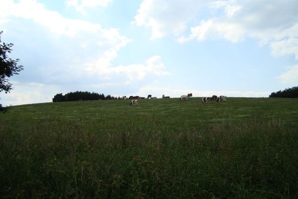 Natur pur...