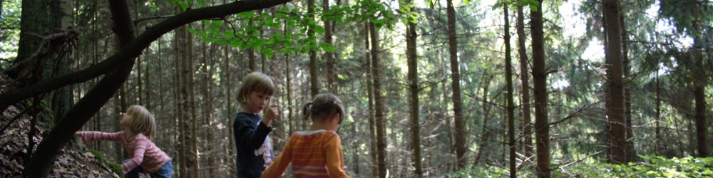 Kindergeburtstag auf dem Bauernhof Knipps