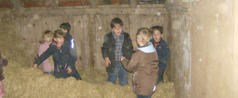 Kindergeburtstag auf dem Bauernhof