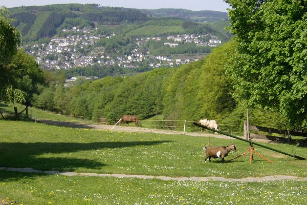 Schöne Aussicht auf Werdohl