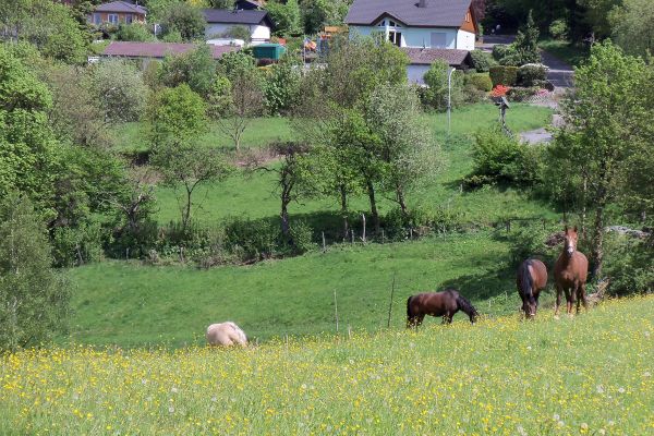 Blick auf auf die Wochenendhäuschen