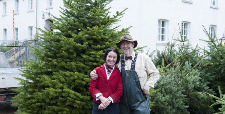Der besondere Weihnachtsbaum - vorher