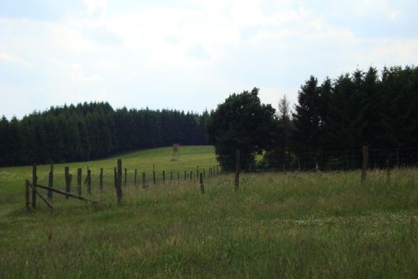 Nachmittagsstimmung in Belkenschedi