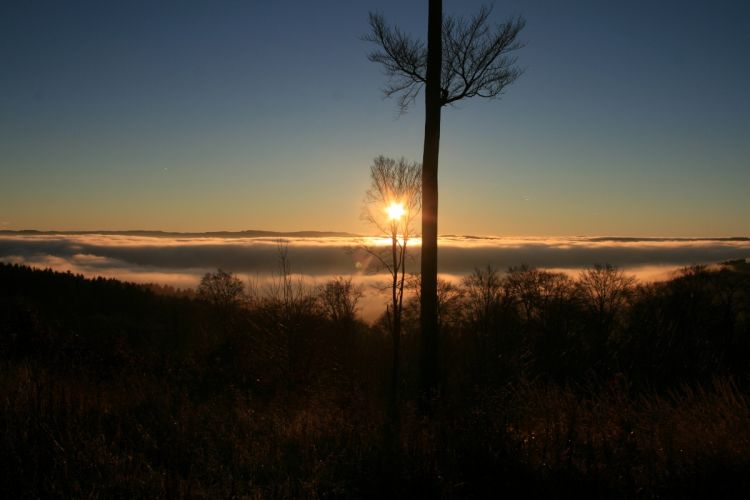 Sonne über Morgennebel