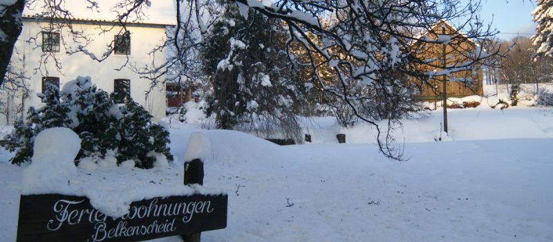winteraufnahme-3.jpg
