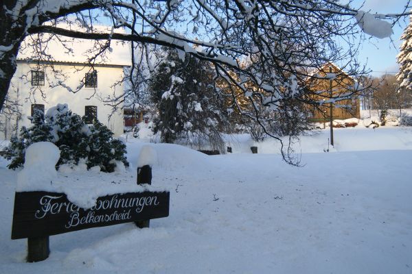 winteraufnahme-3.jpg