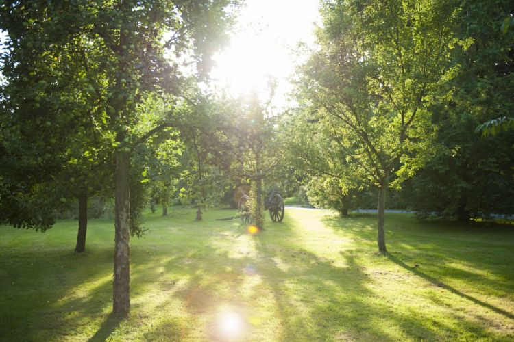 Sonnenuntergang im Park