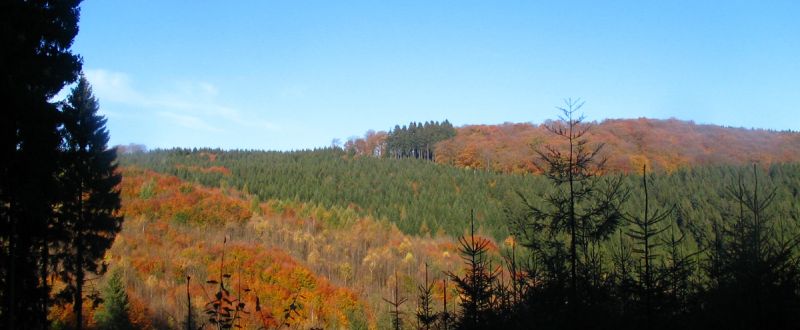 Das Sauerland, Land der tausend Berge