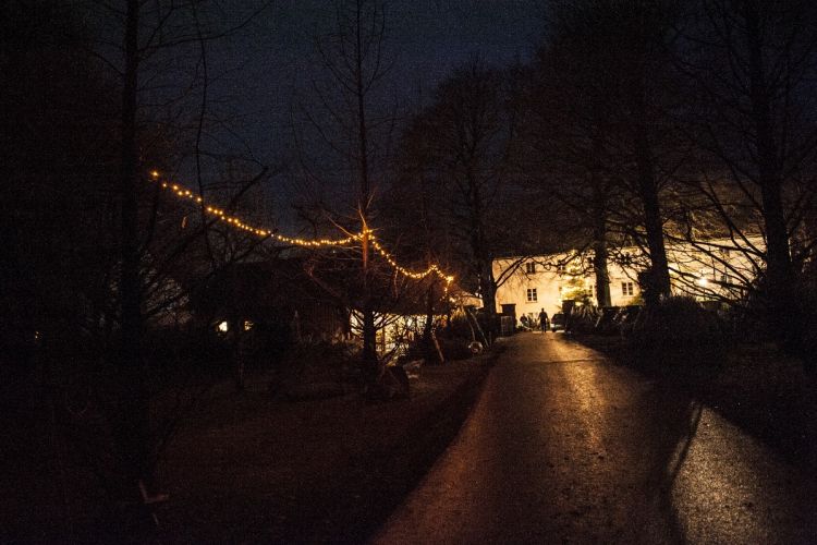 die-allee.jpg