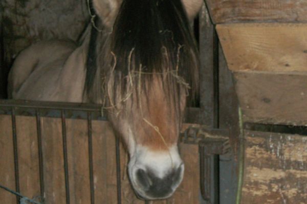 Hallo mein Name ist Friedel
