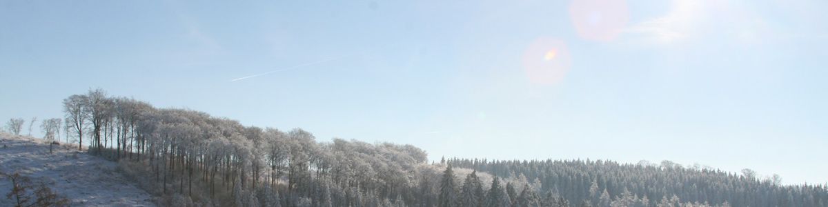 img_9227.jpg