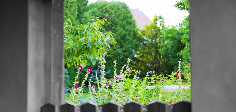 Ein Blick in den Sommergarten