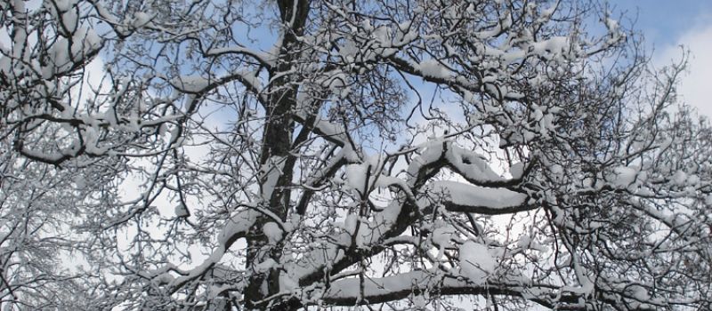 winteraufnahme-1.jpg