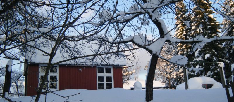 winteraufnahme-4.jpg