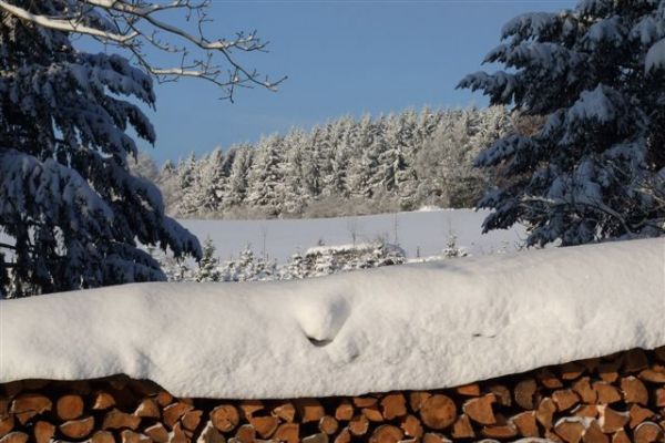 dezember-2.jpg
