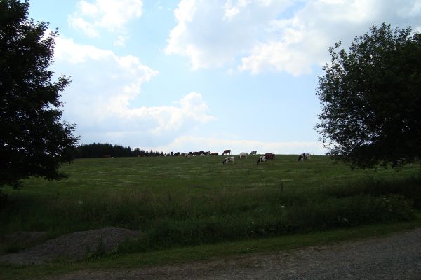 Aussicht Wohnung Wiesenblick