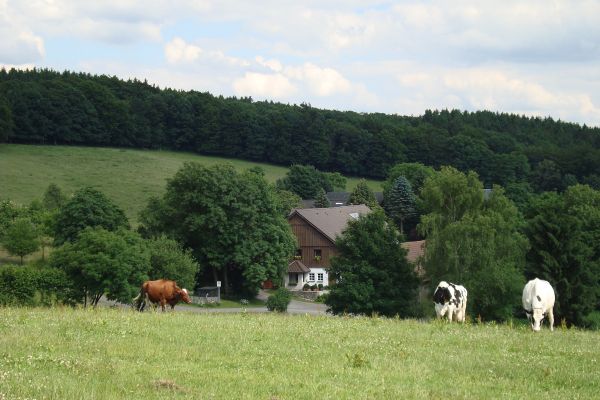 Sommer in Belkenscheid