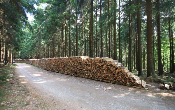 rundwanderweg.jpg
