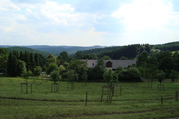 Streuobstwiesen  - für viele Lebewesen ein Zuhause