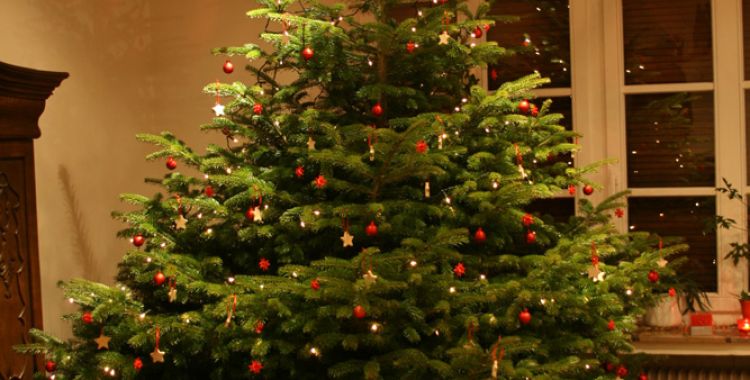 Geschmückter Weihnachtsbaum