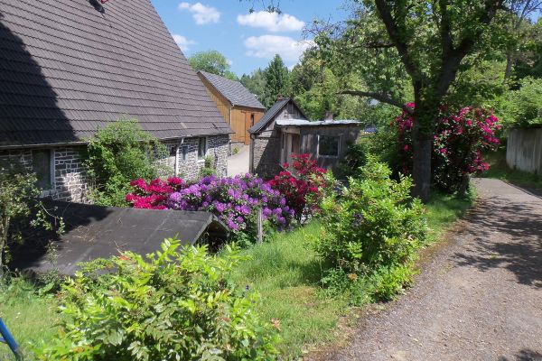 Blick auf den Hof