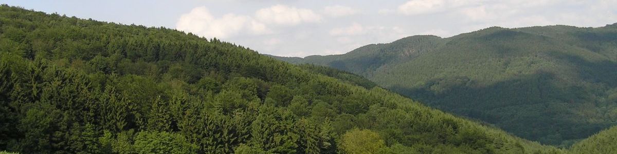 kreinberg.jpg