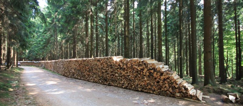 rundwanderweg.jpg