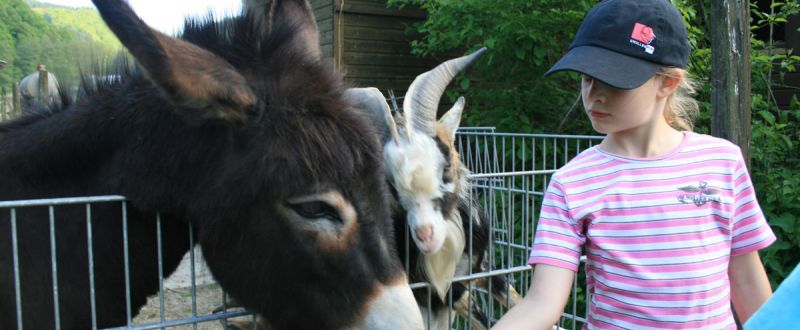 Schulklassen und Kindergärten auf dem Bauernhof