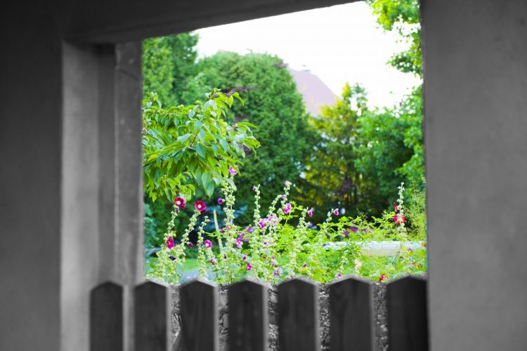 Ein Blick in den Sommergarten