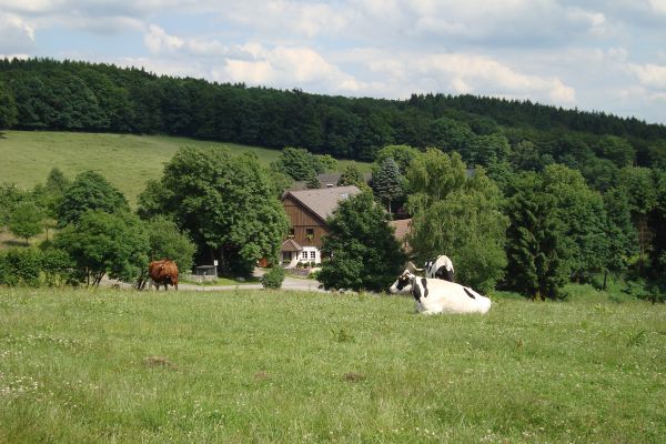 dsc00051.jpg
