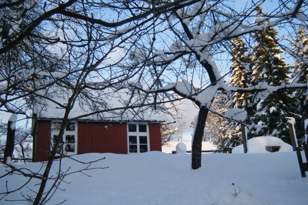 winteraufnahme-4.jpg
