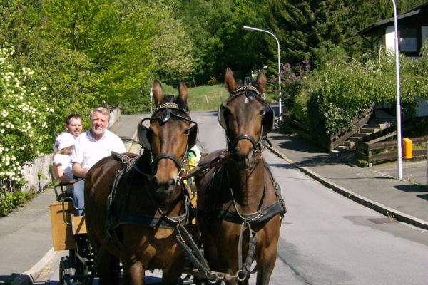 Kutschfahrt