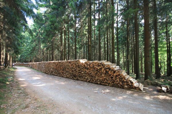rundwanderweg.jpg