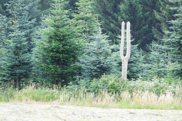 Kunst im Wald...