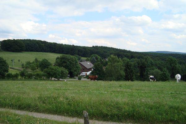 Einzelhoflage Ferienhof Belkenscheid