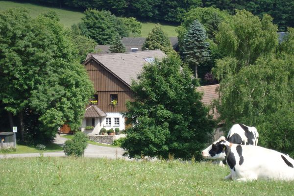 "Sommerträume"