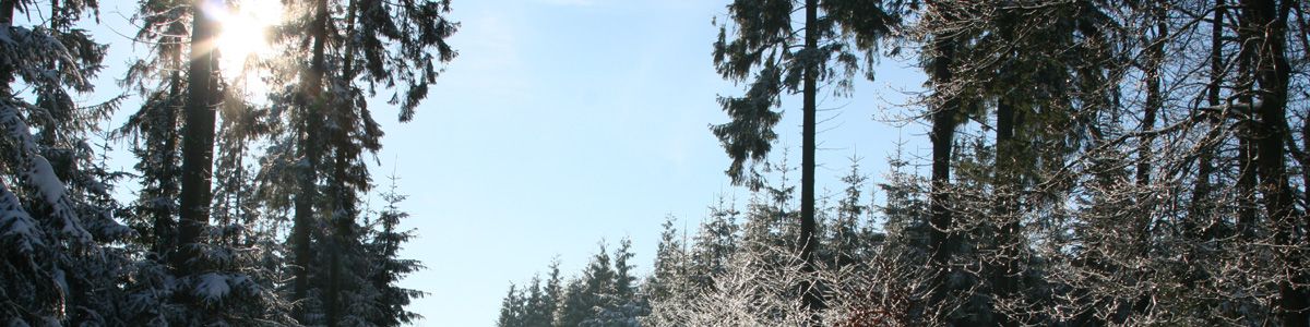 img_9136.jpg