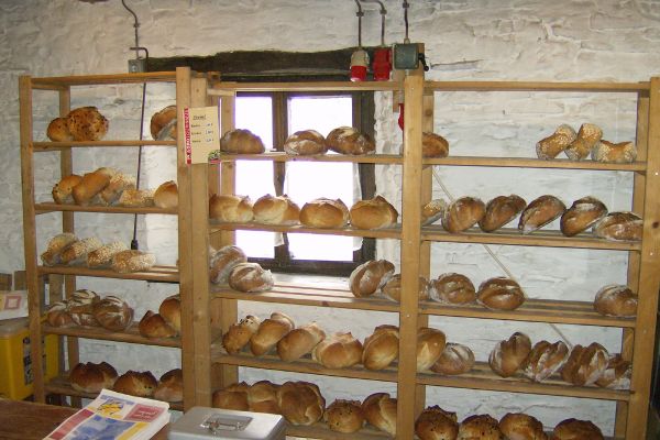 Unser Holzofenbrotsortiment