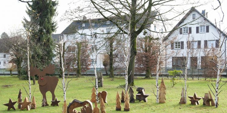 dekoratives-holz-auf-der-wiese .jpg