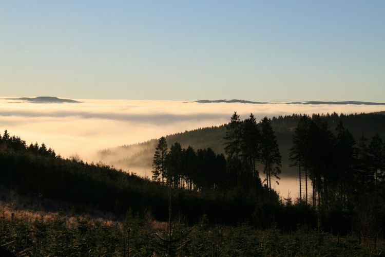Morgennebel in den Tälern