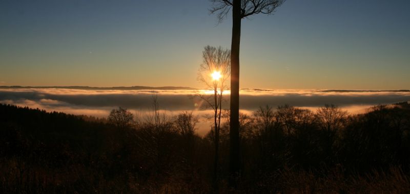 Sonne über Morgennebel