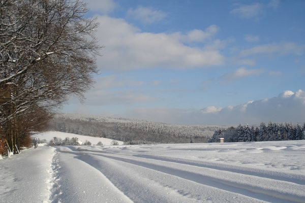 winteraufnahme-2.jpg